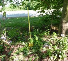 Nos bornes enfin pos&eacute;es...