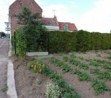 D&eacute;but de la pose de notre cloture...