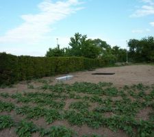 Vue arri&egrave;re du terrain