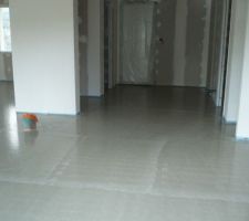 17/06/11 : coulage de la chape liquide