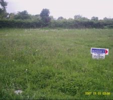 Voici la haie du cot&eacute; gauche de notre terrain