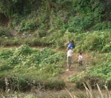 Viste avec un dallon