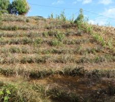 Acces maison, creation du chemain pour voiture.