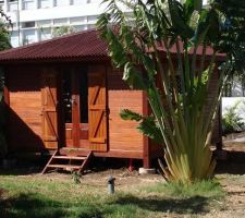 Maison kit kohu