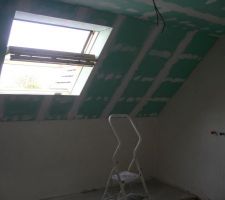 Plafond salle de bain.