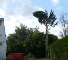 Chutte de la cime....