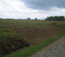 C'est moi qui l'ai fait ... tout seul ... avec papa !!!
