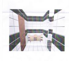 Aperçu carrelage faience SDB