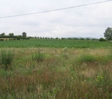 Terrain  en premier plan  ( avec les grandes herbes )