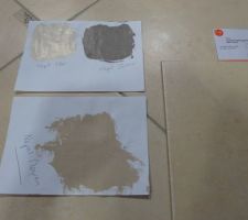 Choix du carrelage. Mais les photos n'ont jamais un rendu super dans les magasins.