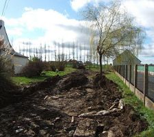 Accès de chantier en cours.

on voit toujours le saule qui a été sauvagement abattu alors qu'il ne genait pas (il y a 5 mètre entre le saule et la limite gauche du terrain.
sachant également que la tranché technique sera sur la gauche (côté des roseaux/pampa)