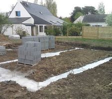 En parallèle, le voisin est en train d'installer la clôture de séparation, en bois.
SUPER!