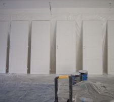 Portes satin&eacute;s