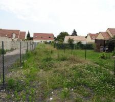 Voila mon terrain en friche . 779m2 avec l allee reste plus qu a debrousailler tout ca pour l implantation .