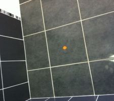 Voila un des carreaux qui sonn&eacute; creux le constructeur la fait refaire ...