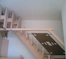 Escalier avec crémaillère centrale