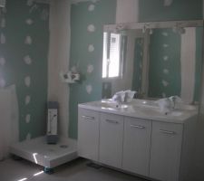 Meuble de salle de bain et douche à côté