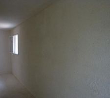 Enduits int&eacute;rieurs, gobetis/salissage