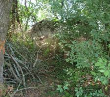 Donc sa c'est où va se trouver notre maison, ya du boulot niveau dessouchage