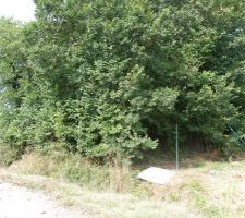 Sa c'est l'entrée de notre terrain où il y a les arbres faut imaginer sans