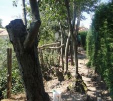 Le 27 juin 2011 : D&eacute;coupe des arbres au fond du terrain