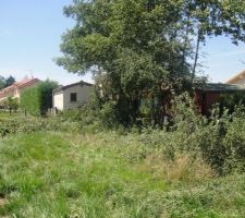 Le 27 juin 2011 : D&eacute;coupe des arbres au fond du terrain