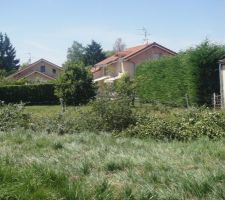Le 27 juin 2011 : D&eacute;coupe des arbres au fond du terrain