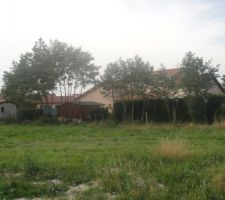 Le 28 juin 2011 : Les arbres sont coup&eacute;s ! La maison peut commenc&eacute;e!