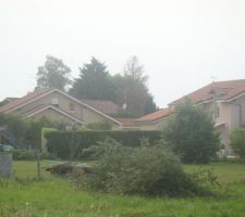 Le 27 juin 2011 : D&eacute;coupe des arbres au fond du terrain