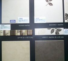 Salle de bain, sol chocolat et douche blanc cass&eacute; (en haut &agrave; gauche)