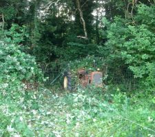 Finalement, debroussailler, ça a du bon!