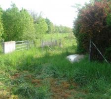 Un laser cach&eacute; dans la pature....