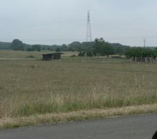 Le champ o&ugrave; s'&eacute;l&egrave;vera bient&ocirc;t un lotissement!