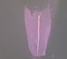 Une crevasse assez profonde, pourquoi ne l'ont ils pas rebouchée complètement