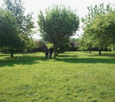 Terrain avant travaux