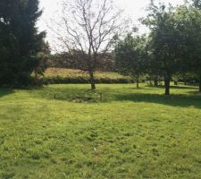 Terrain avant travaux