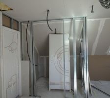 Petit dressing