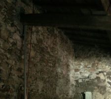 Voila pour donner encore une idée le gros tronc d'arbre pas droit arrive a 2M90