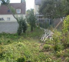 Vue sur l'entr&eacute;e (all&eacute;e) du terrain