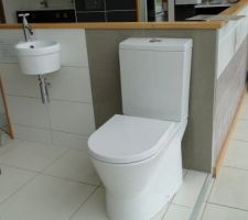 Wc avec abattant frein de chute