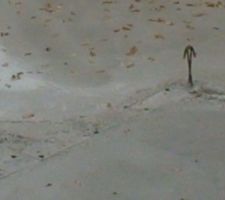 Deux aciers apparaissent à l'emplacement prévu pour un poteaux 73*20. Ces aciers ne sont en réalité  pas lié à la semelle