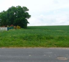 Le terrain: un champs de bl&eacute;
