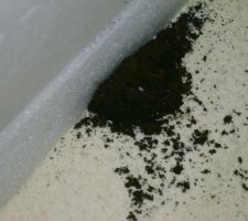 Vraiment crade:le caf&eacute; &agrave; m&ecirc;me le sol!