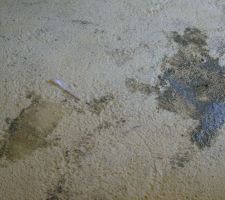 Fourchette en plastique   liquide...