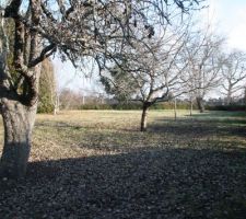 Vue du fond du terrain