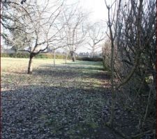 Vue de fond du terrain