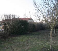 Avant la mise en chantier