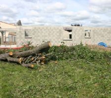 N on la maison de notre voisin