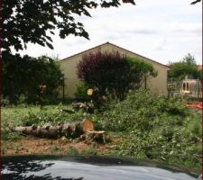 Et voil&agrave; je commence &agrave; jouer les bucherons canadien
