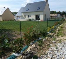 Façade sud de la maison avec la haie plantée par nos petites mains